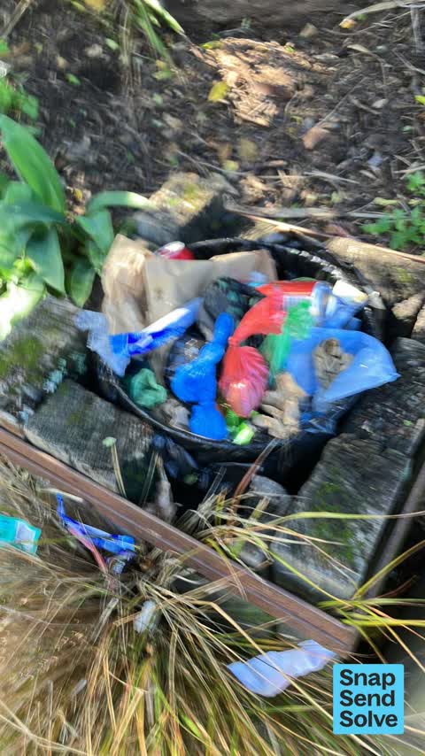 Rubbish and Bins - General, a report photo