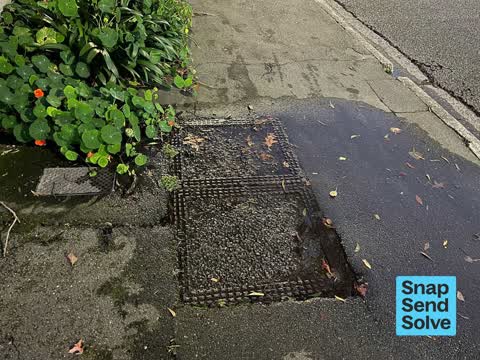 Water Leak, a report photo
