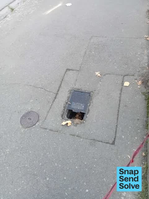 General Request, a report photo