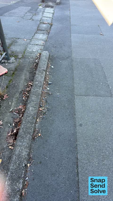 Litter, a report photo