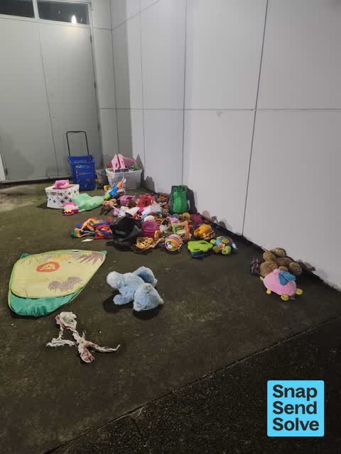 Dumped Rubbish — a report photo
