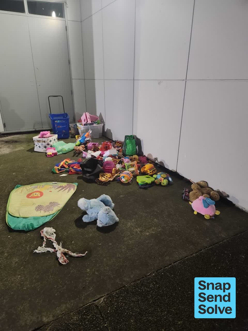 The photograph attached to this dumped rubbish report