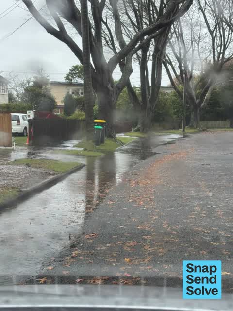 Road Blockage, a report photo
