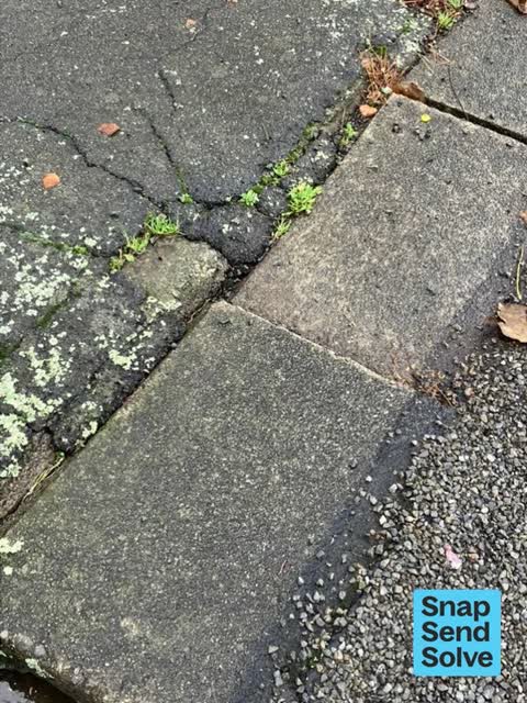 Street Gutters / Storm Water — a report photo