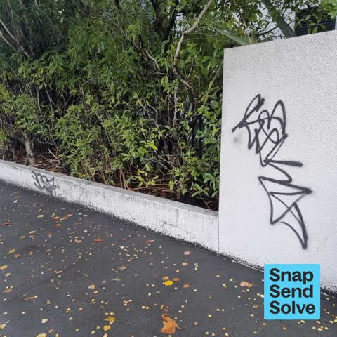 Graffiti on a fence, building or structure, a report photo