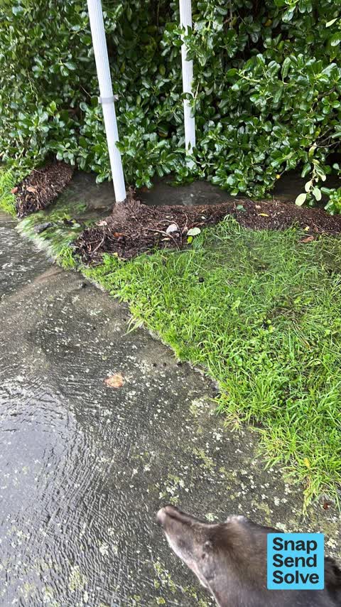 Water Leak, a report photo