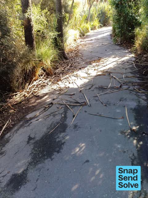 Overgrown Vegetation, a report photo