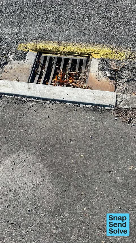 Street Gutters / Storm Water, a report photo