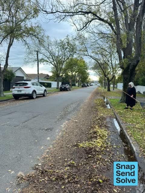 Street Cleaning, a report photo