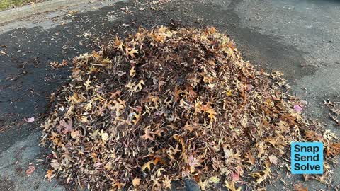 Street Cleaning, a report photo