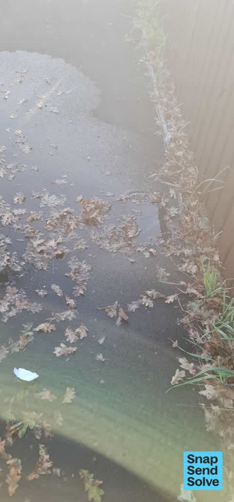 Water Leak, a report photo
