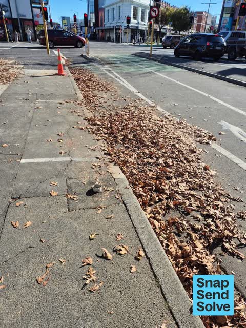 Street Cleaning, a report photo