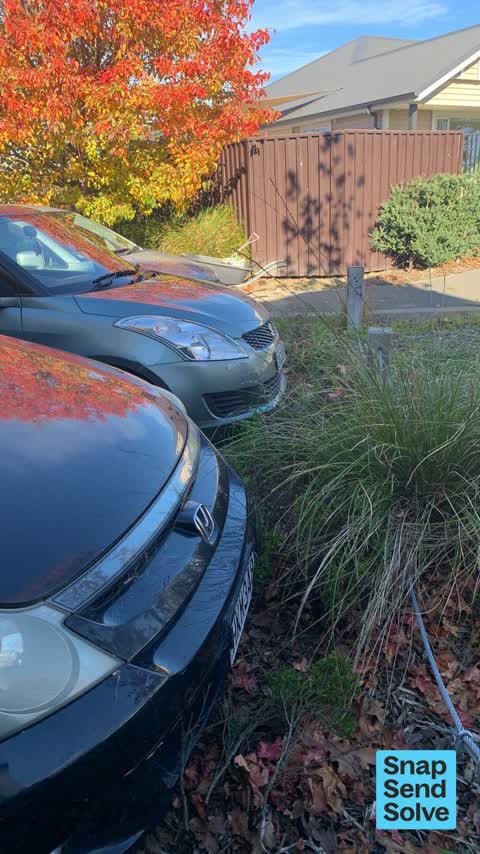 Overgrown Vegetation, a report photo