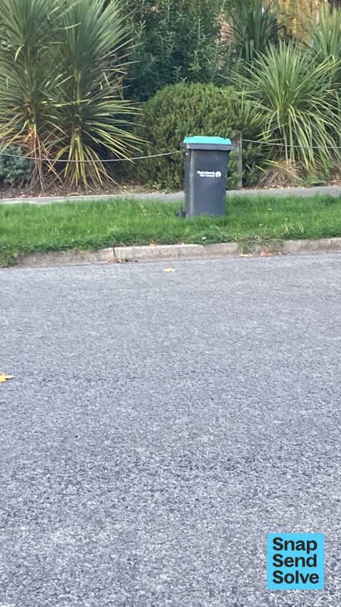 Rubbish and Bins - General — a report photo