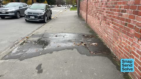 Water Leak, a report photo