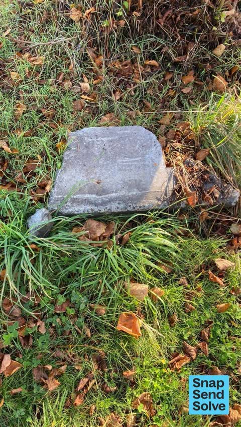 Litter — a report photo