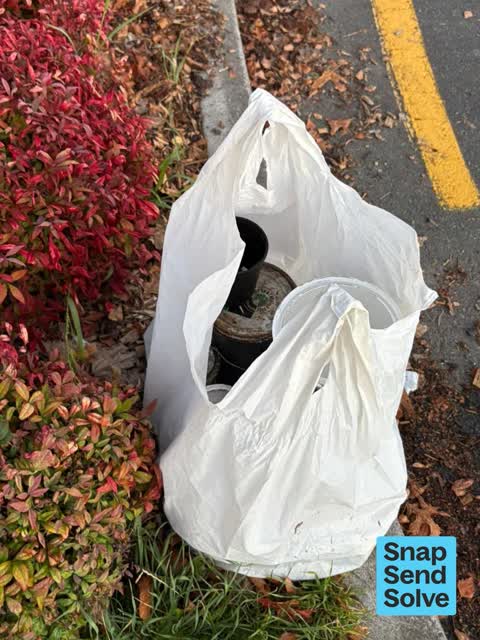 Dumped Rubbish — a report photo
