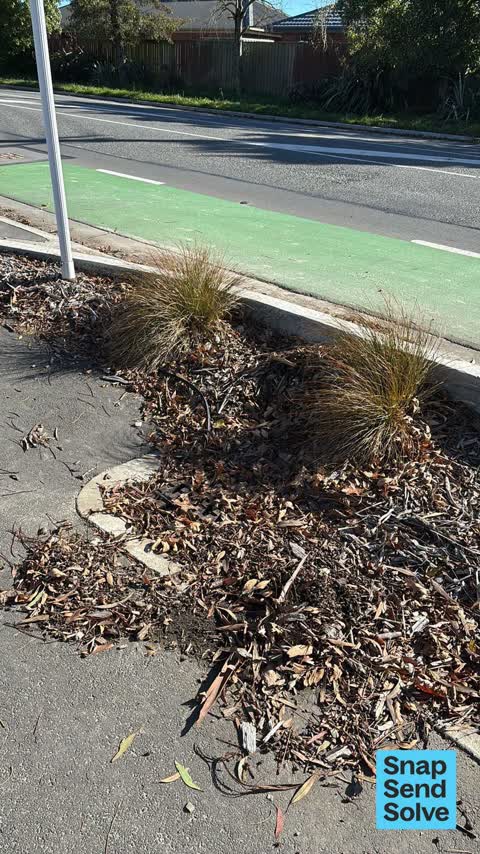 Overgrown Vegetation, a report photo