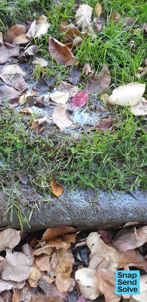 Water Leak, a report photo