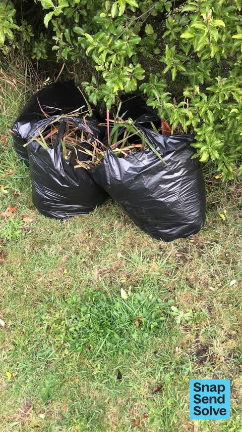 Dumped Rubbish, a report photo