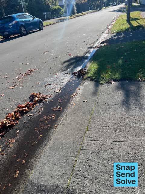 Water Leak, a report photo