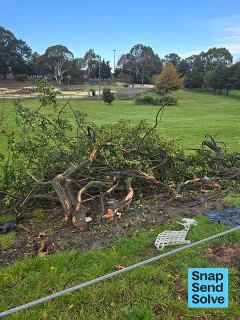 Park - General Request, a report photo