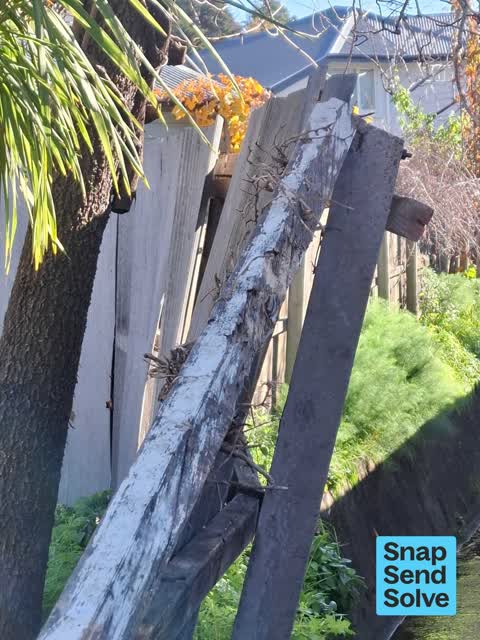 General Request, a report photo