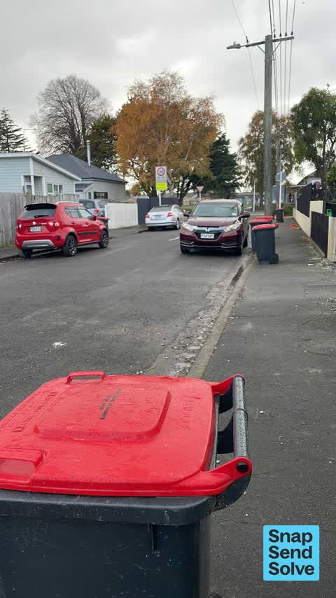 Rubbish and Bins - General, a report photo