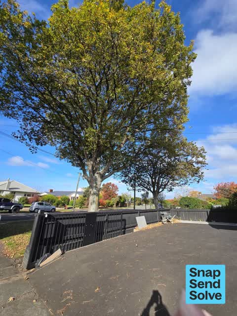 Overgrown Vegetation, a report photo