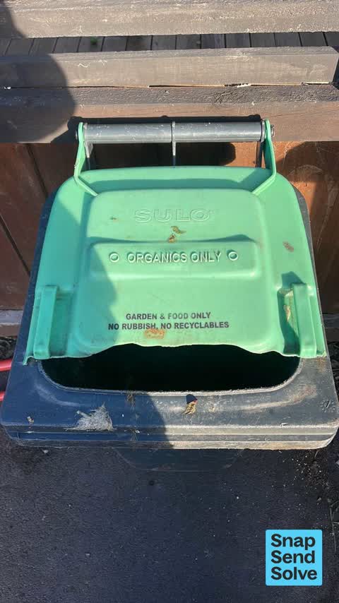 Rubbish and Bins - General, a report photo