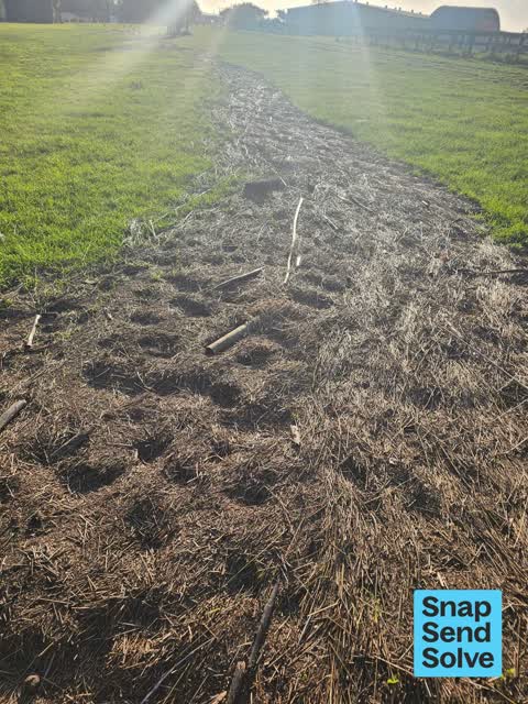 Park - General Request, a report photo