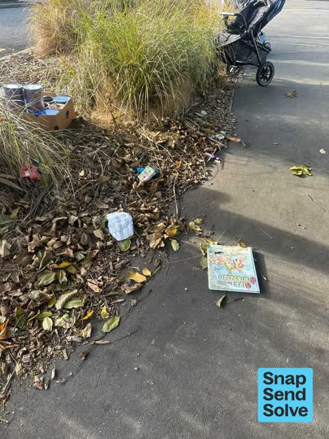Dumped Rubbish — a report photo