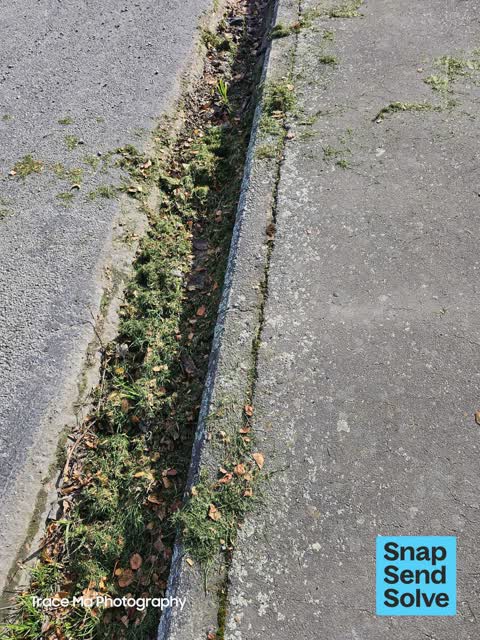 Street Gutters / Storm Water, a report photo