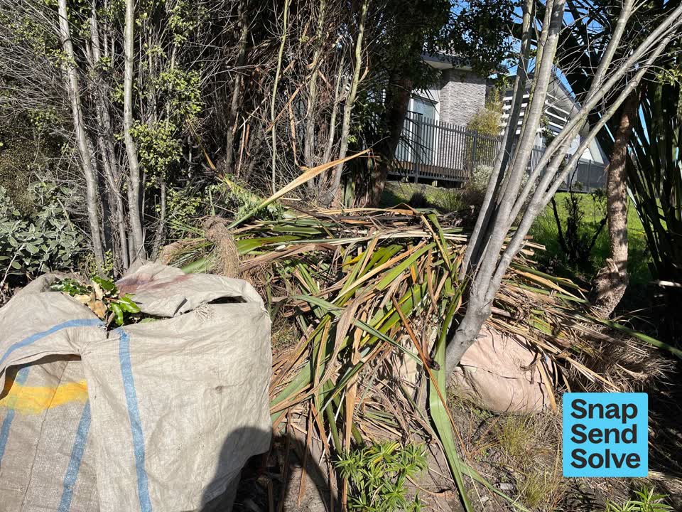 The photograph attached to this overgrown vegetation report