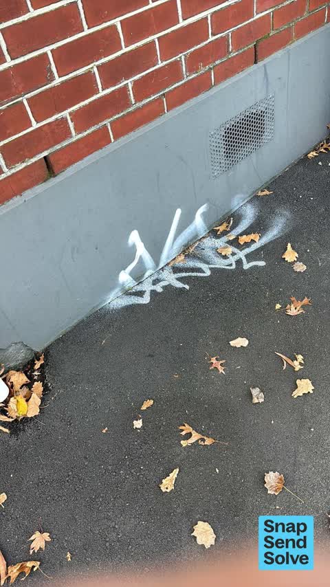 Graffiti on a road, footpath or bridge, a report photo