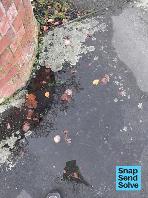 Water Leak, a report photo