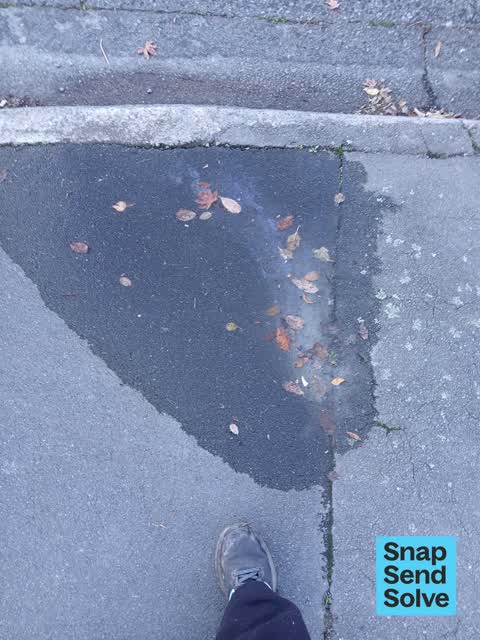 Water Leak, a report photo