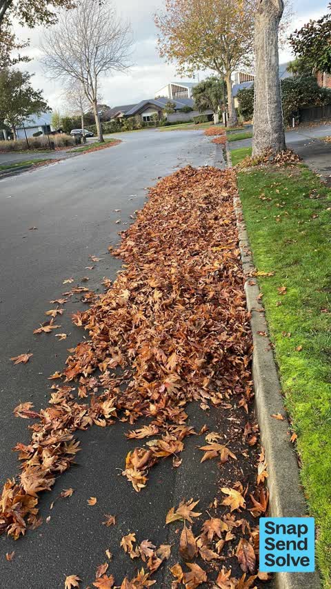 Street Cleaning, a report photo