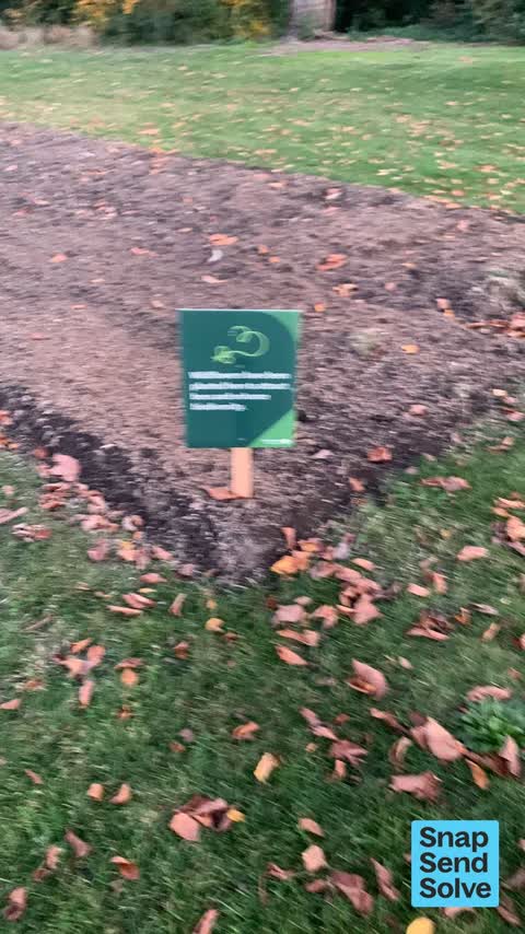 General Request, a report photo