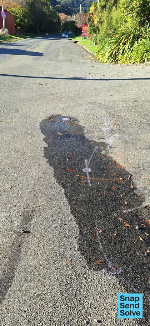 Water Leak, a report photo