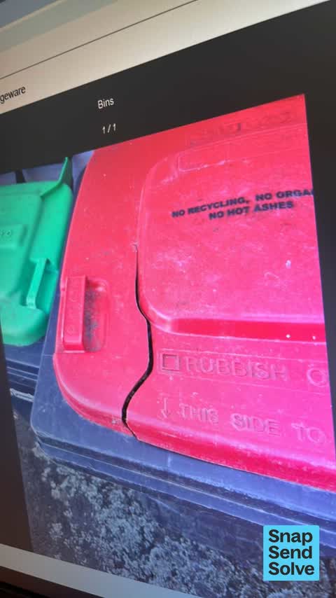 Rubbish and Bins - General, a report photo