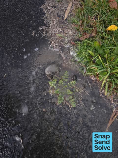Water Leak, a report photo