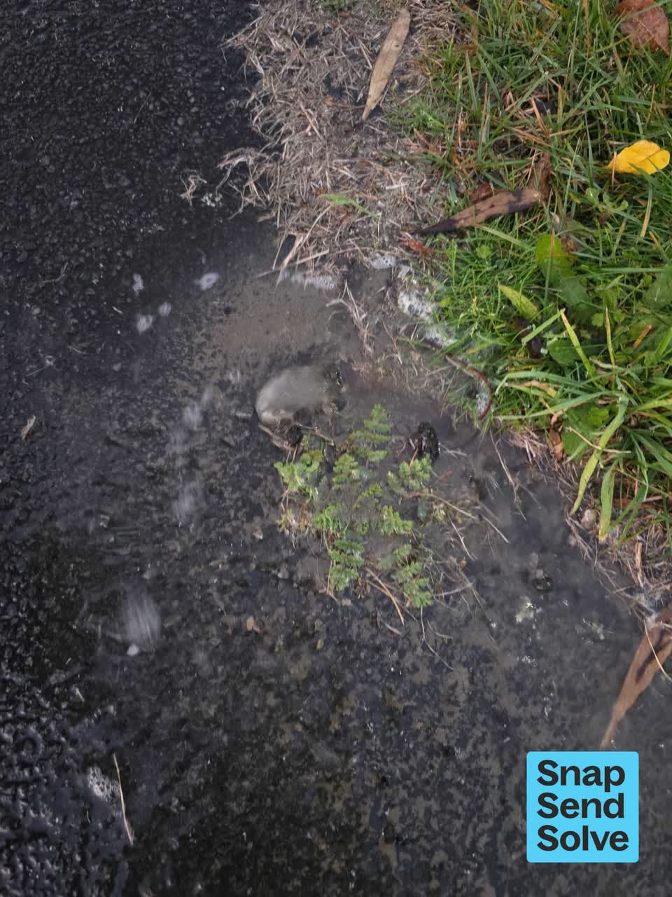 The photograph attached to this water leak report