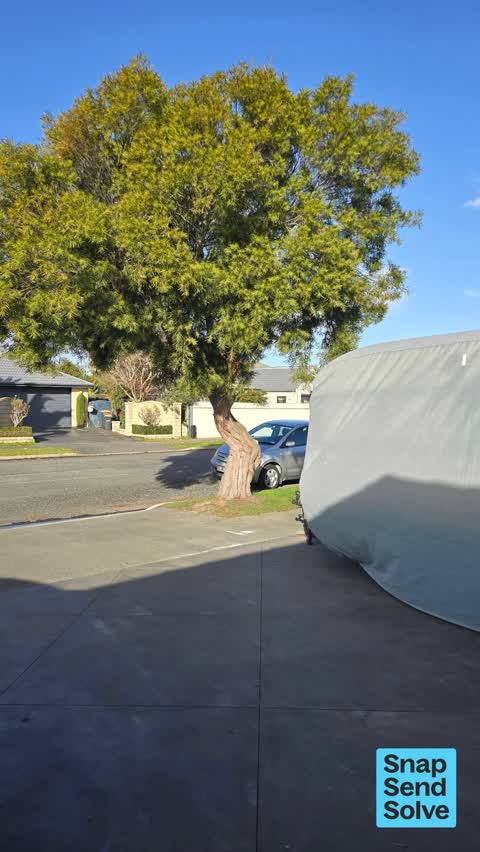Overgrown Vegetation, a report photo