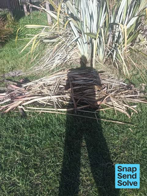 Overgrown Vegetation, a report photo