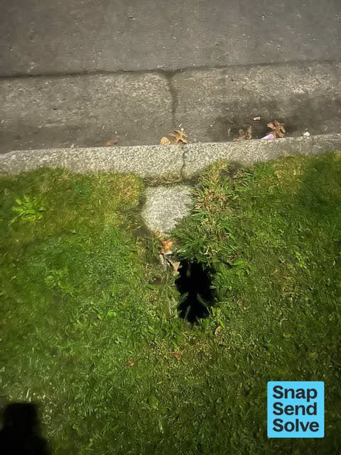 Pavement - Damaged, a report photo