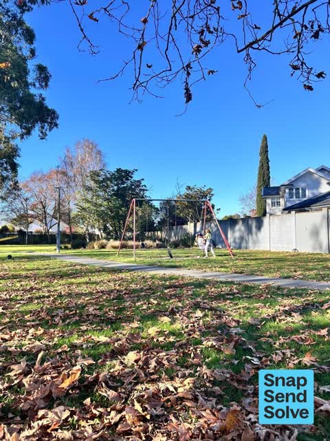 Playground Equipment, a report photo