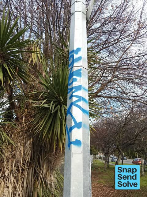 General Request — a report photo
