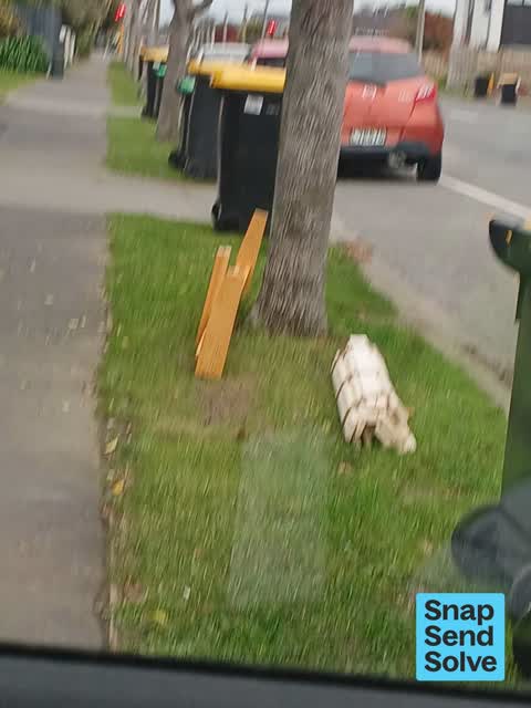 Dumped Rubbish, a report photo