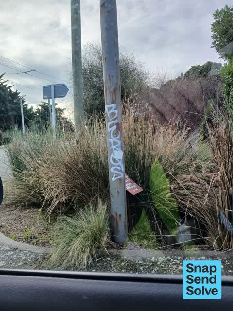 Graffiti on a fence, building or structure, a report photo